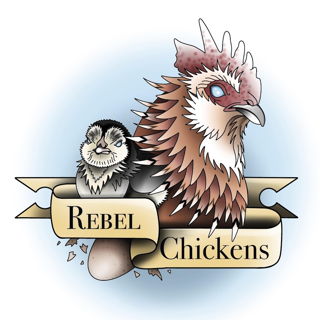 Rebel Chickens and Kinita Horse Agistment | 350 Portreath Rd, Paraparap VIC 3240, Australia | Phone: 0416 414 749