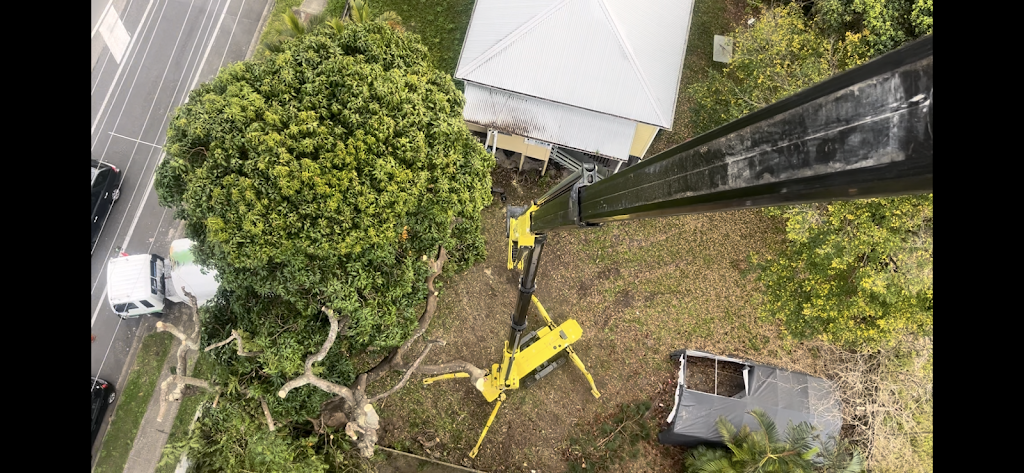 All Tree Machinery Hire | Morgan Rd, Narangba QLD 4505, Australia | Phone: 0402 611 094