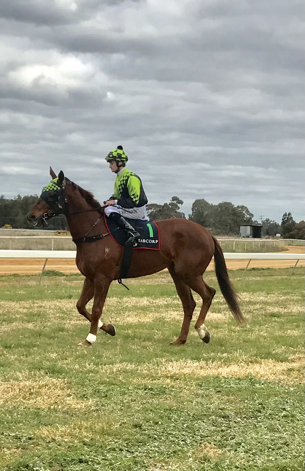 Erin Maher Racing | 32 Racecourse Rd, Ascot VIC 3551, Australia | Phone: 0438 800 975