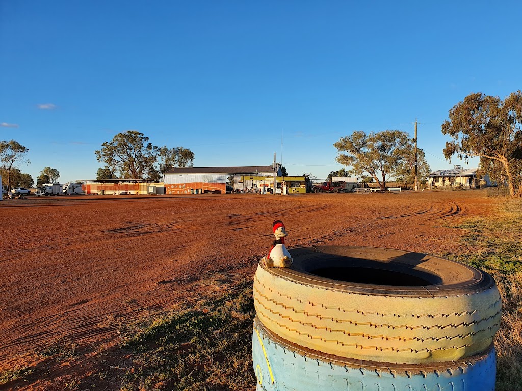 Bush Tucker Inn and Caravan Park | 13698 Mitchell Hwy, Barringun NSW 2840, Australia | Phone: (02) 6874 7584