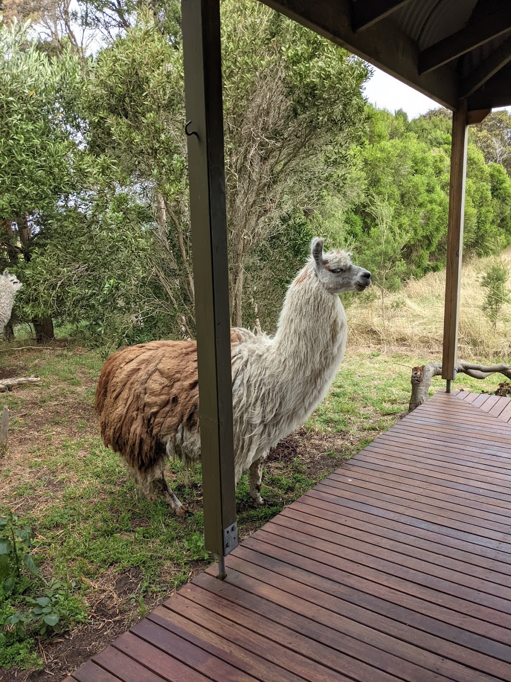 Honeys Retreat | 33 Honeys Rd, Wonthaggi VIC 3995, Australia | Phone: 0492 444 382