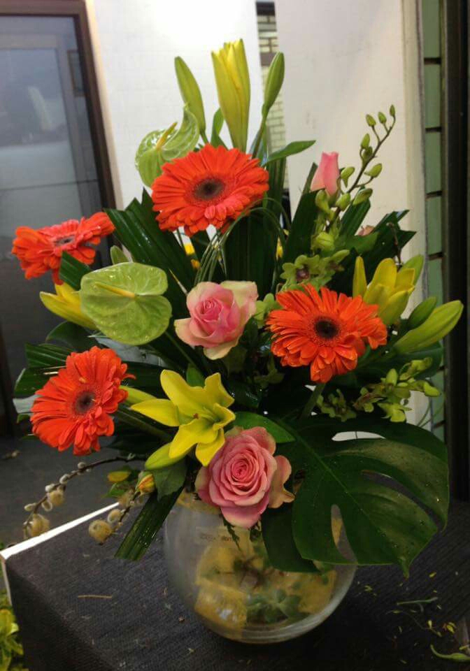 dzinastem at Joys Flowers | florist | 80 Jubilee Hwy W, Mount Gambier SA 5290, Australia | 0887251354 OR +61 8 8725 1354