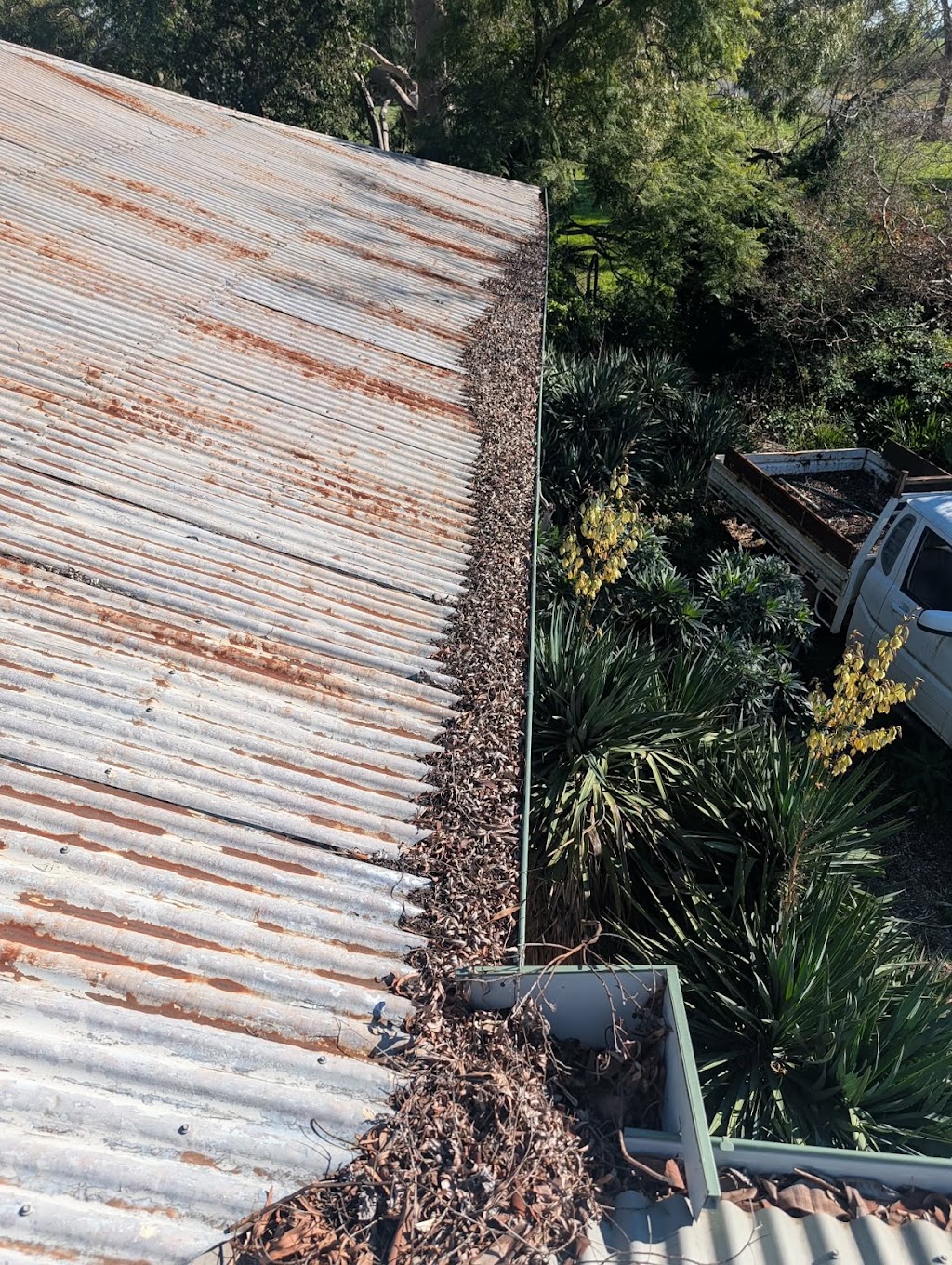 Young’s Roof Care | Church St, Corowa NSW 2646, Australia | Phone: 0404 246 059