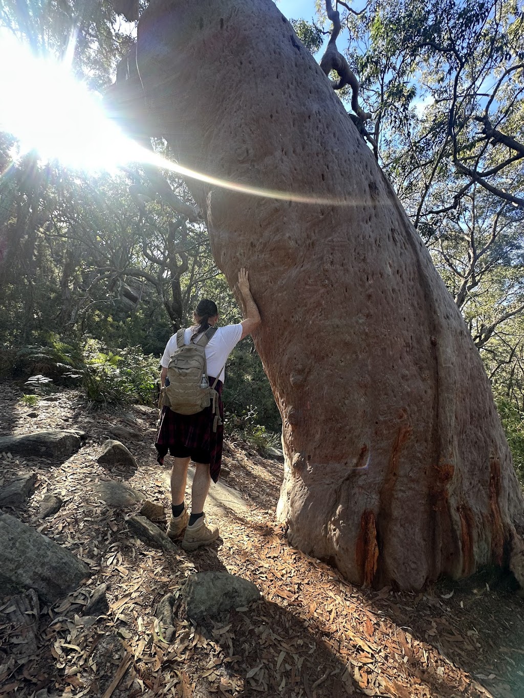 Girri Girra Aboriginal Experiences | M7HF+FX, Somersby NSW 2250, Australia | Phone: 0421 088 566