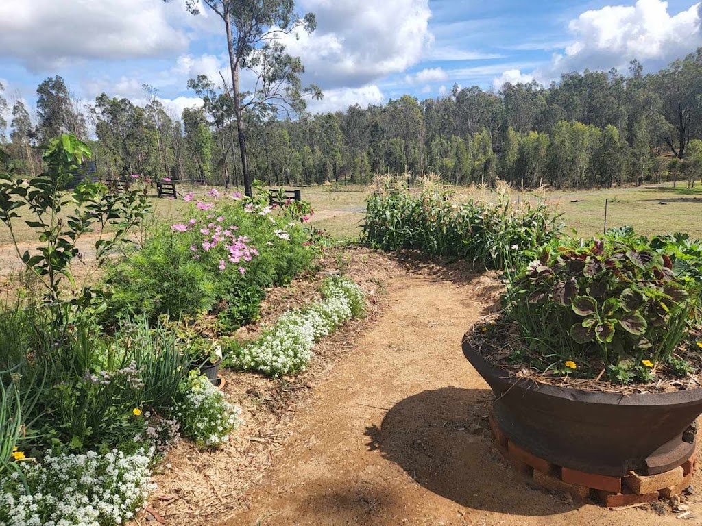 Golden sands | 3007 Old Tenterfield Rd, Busbys Flat NSW 2469, Australia | Phone: 0412 834 359