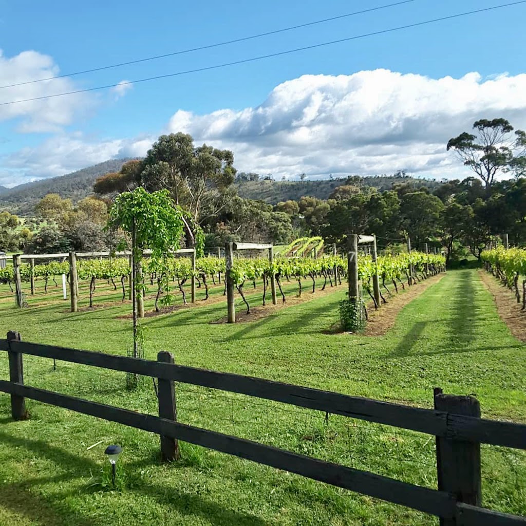 Every Man & His Dog Vineyard | 1314 Richmond Rd, Richmond TAS 7025, Australia | Phone: (03) 6250 3435