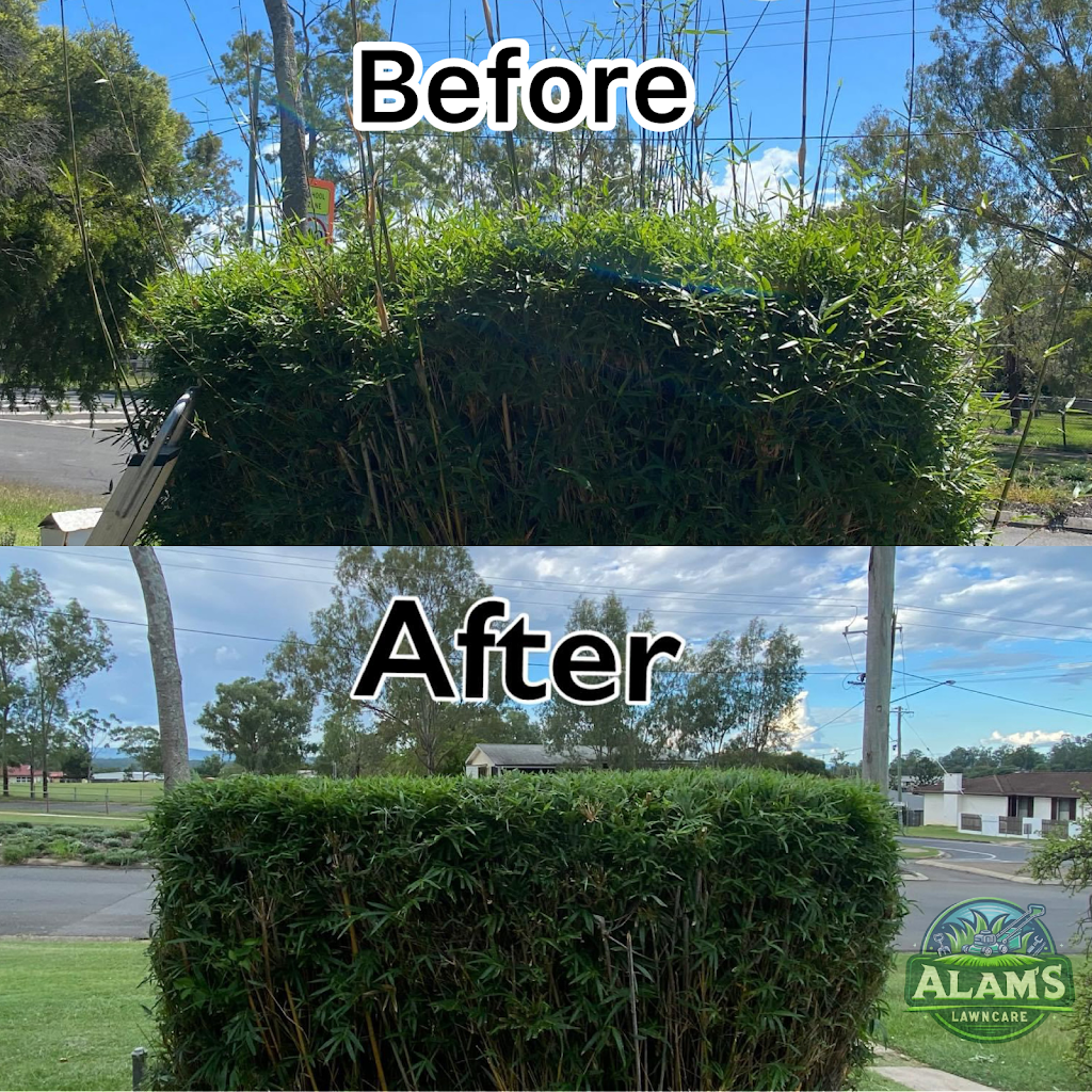 Alams Lawn Care | Lot 21/7 Beavan St, Gatton QLD 4343, Australia | Phone: 0469 827 329