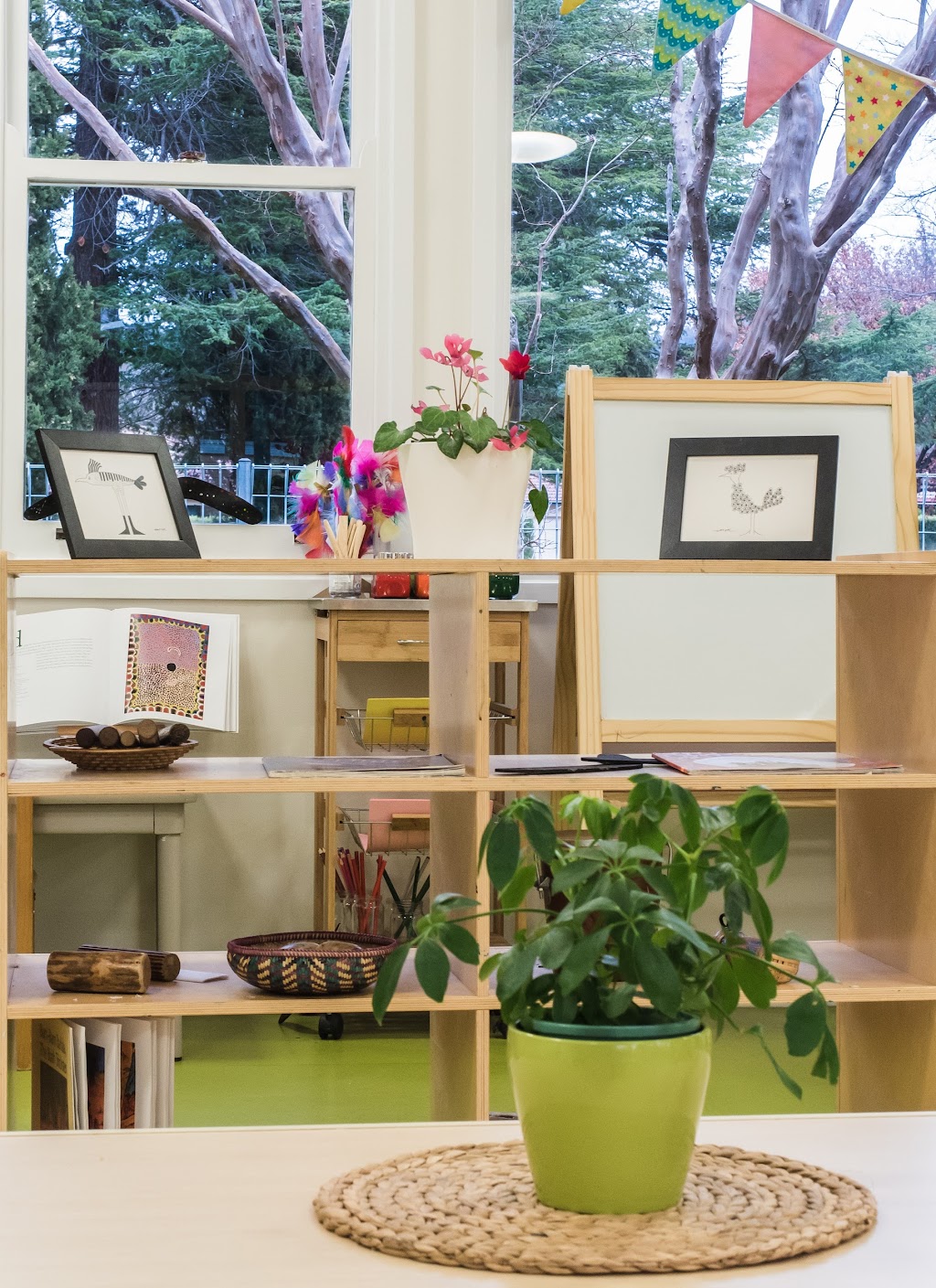 Treehouse in the Park Early Learning Centre | 57 Ormond St, Turner ACT 2612, Australia | Phone: (02) 6171 8060