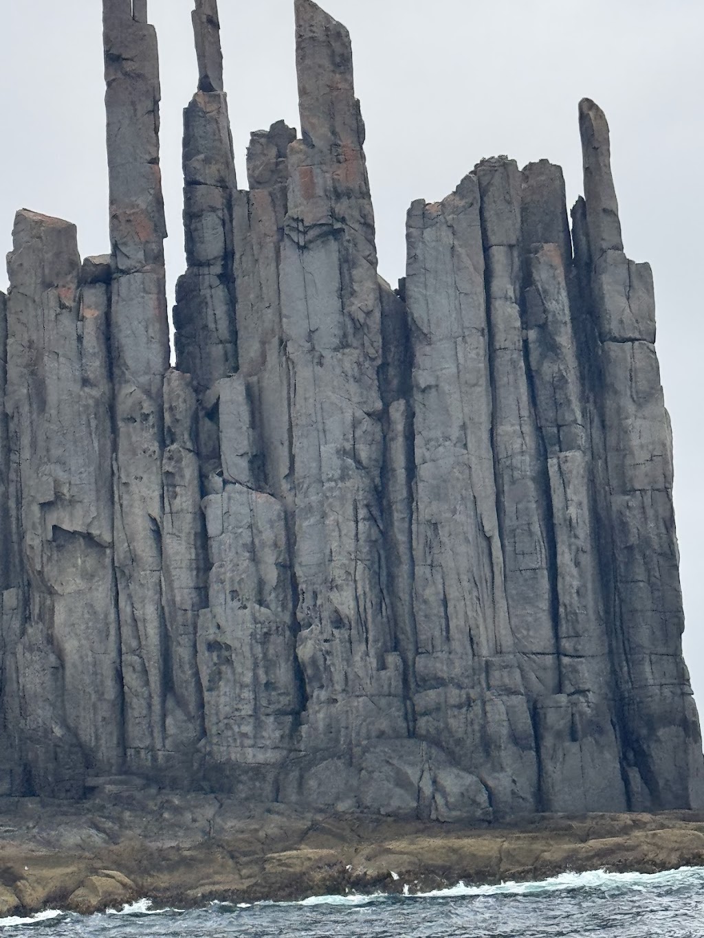 Cape Raoul Cruises | Port Arthur Historic Site, Jetty Rd, Port Arthur TAS 7182, Australia | Phone: (03) 6234 4270