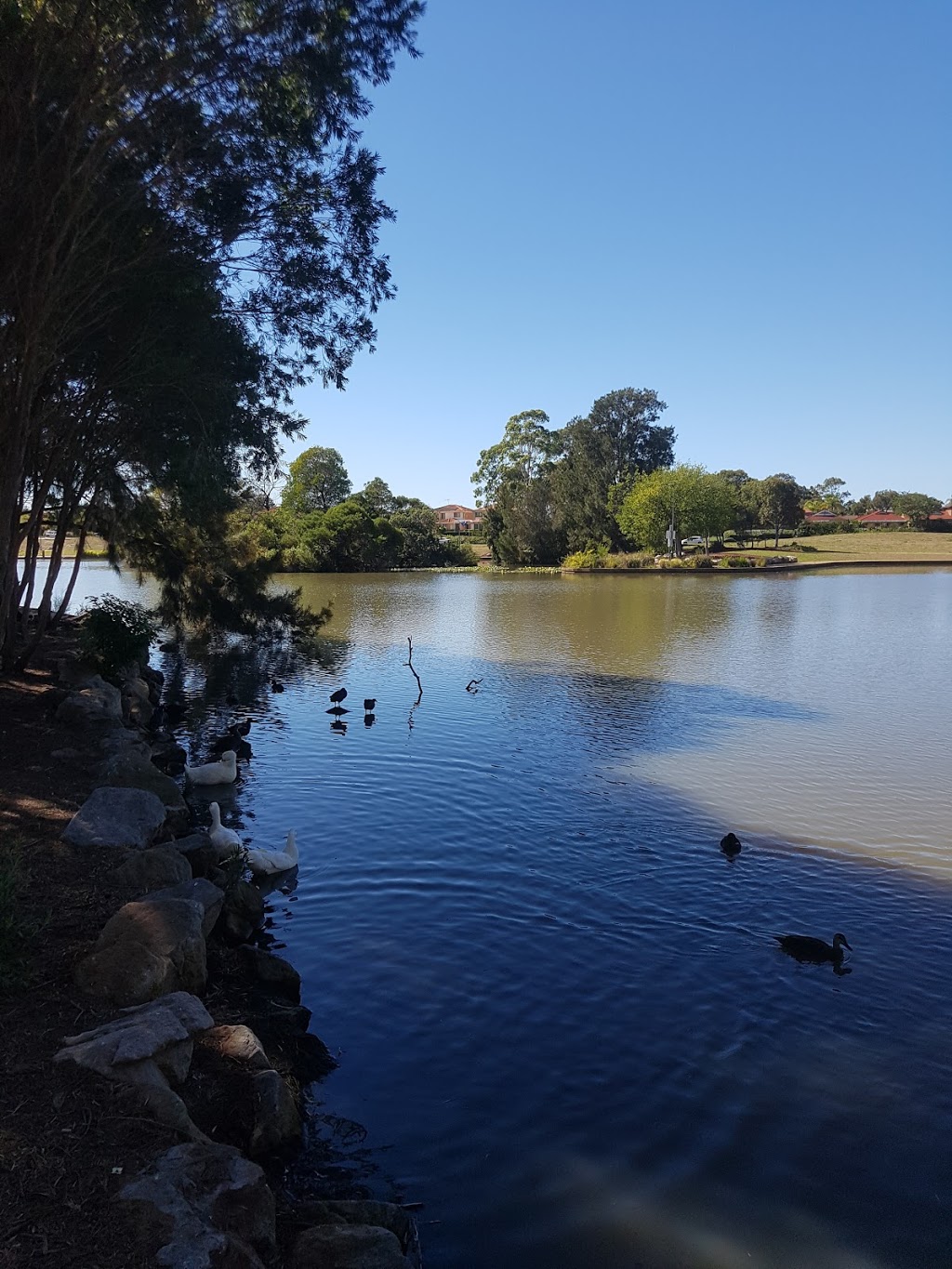 Wattle Grove Lake | Wattle Grove NSW 2173, Australia