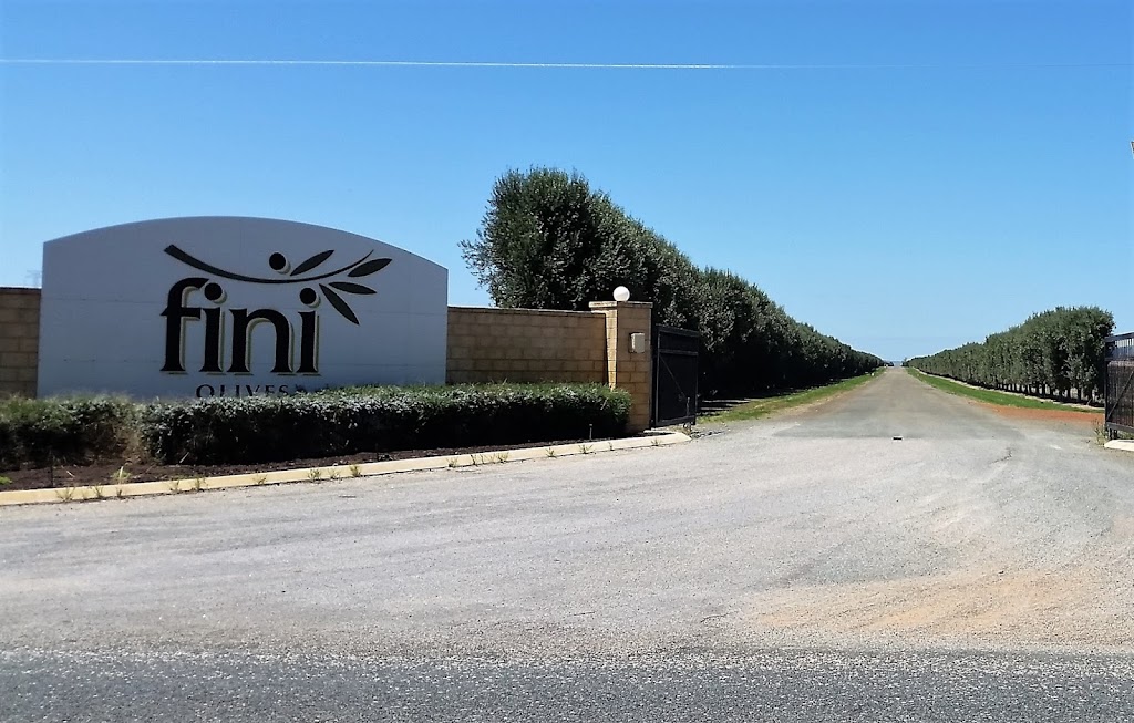 Fini Olives | 237 Orange Springs Rd, Orange Springs WA 6503, Australia | Phone: (08) 9655 0091