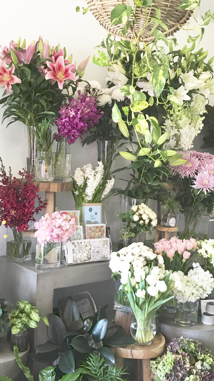 Copper Beech, The Flower Merchant | 70 Wanganella St, Balgowlah NSW 2093, Australia | Phone: (02) 8964 1751