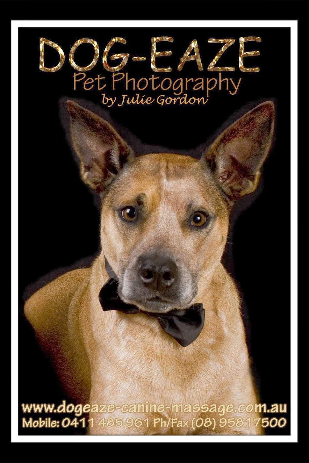 Dogeaze Pet Photography | Lymon Rd, Mandurah WA 6210, Australia | Phone: 0411 485 961