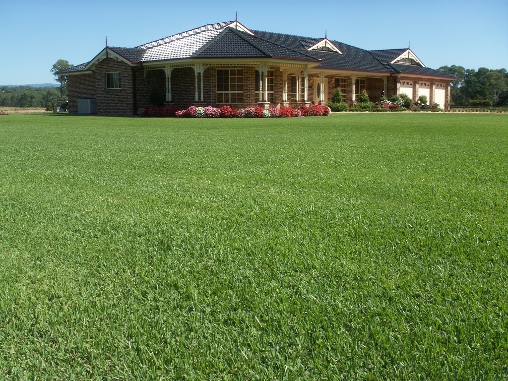 River Oak Turf | 50 Coopers Ln, Tatham NSW 2471, Australia | Phone: (02) 6683 2246