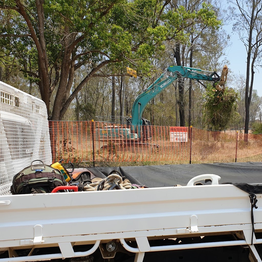 Tree Smart Brisbane Tree Lopping and Stump Grinding 27 Bettson Blvd, Griffin QLD 4503, Australia