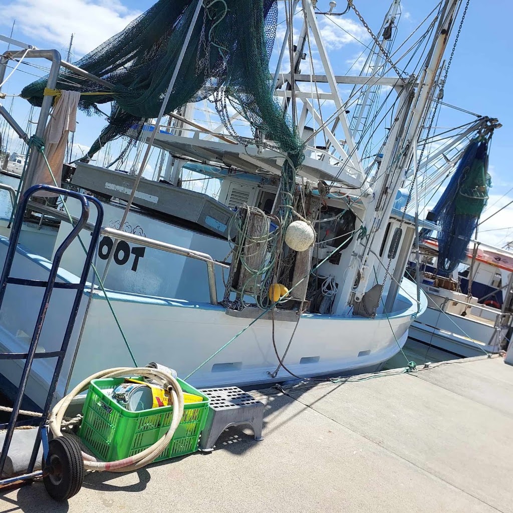 Toot Seafoods | Bird Opassage Parade, Scarborough QLD 4020, Australia | Phone: 0428 453 295