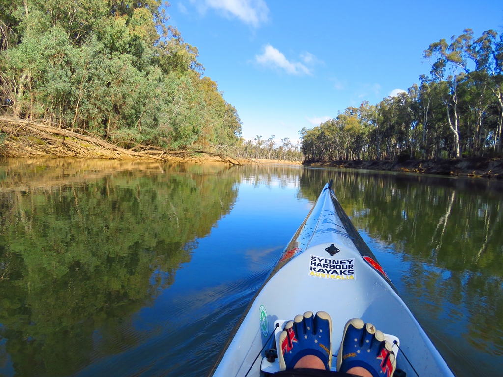 Sydney Harbour Kayaks Murray River Adventures (Cohuna, Vic) | 104 King Edward St, Cohuna VIC 3568, Australia | Phone: 0413 005 787