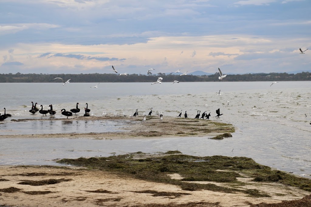 Gippsland Lakes Coastal Park - Victoria, Australia