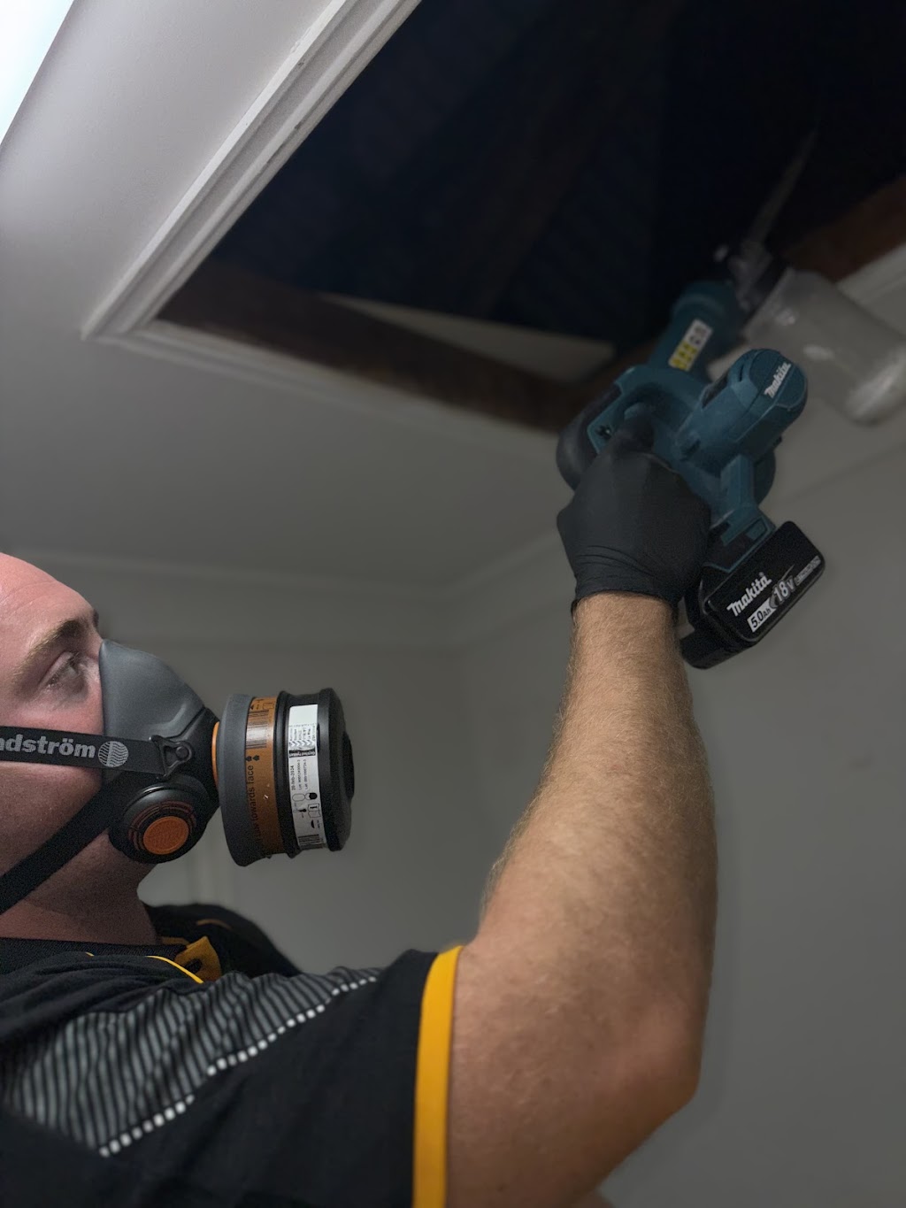 Rampart Pest Management | 65 Rifle Range Rd, Narangba QLD 4504, Australia | Phone: 0428 563 886