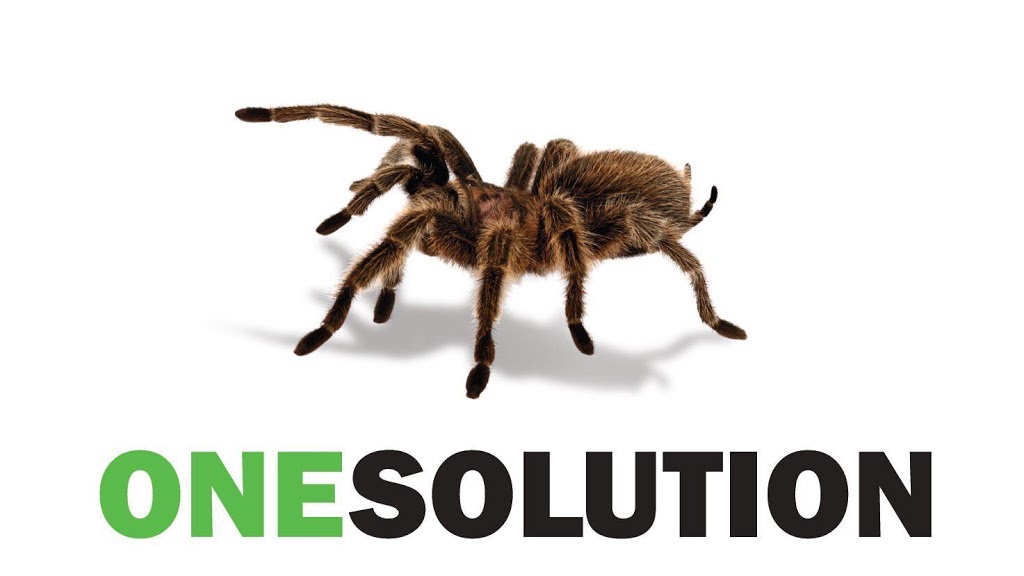 All Pest Solutions | home goods store | 18 Russellton Dr, Alstonville NSW 2477, Australia | 0266816555 OR +61 2 6681 6555