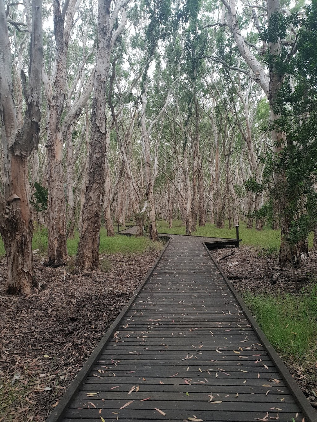 Slade Point Nature Reserve | park | Slade Point QLD 4740, Australia