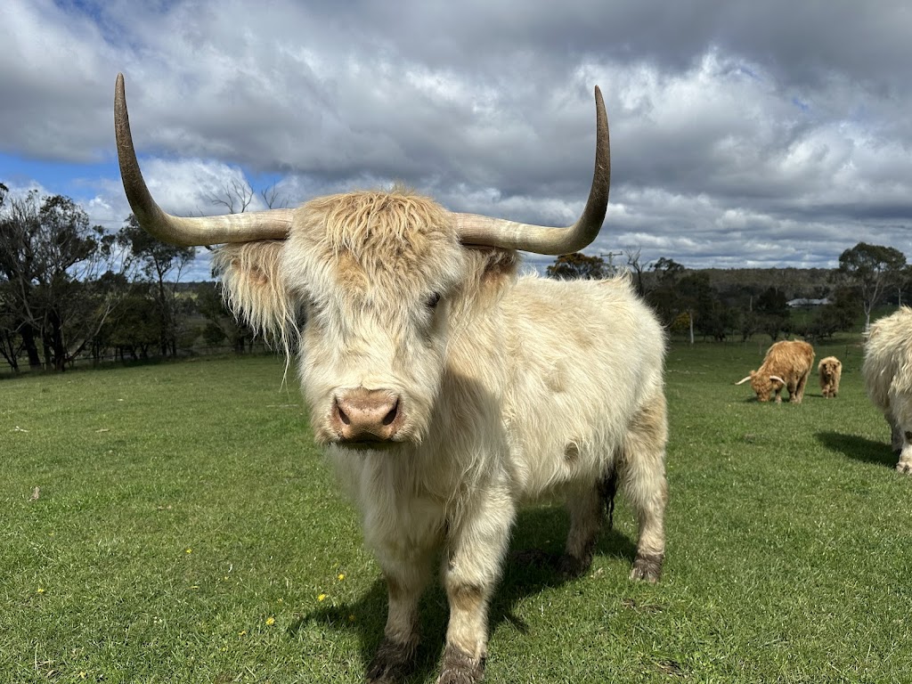 Minard Farm | 135 Richards Ln, Joadja NSW 2575, Australia | Phone: 0456 856 080