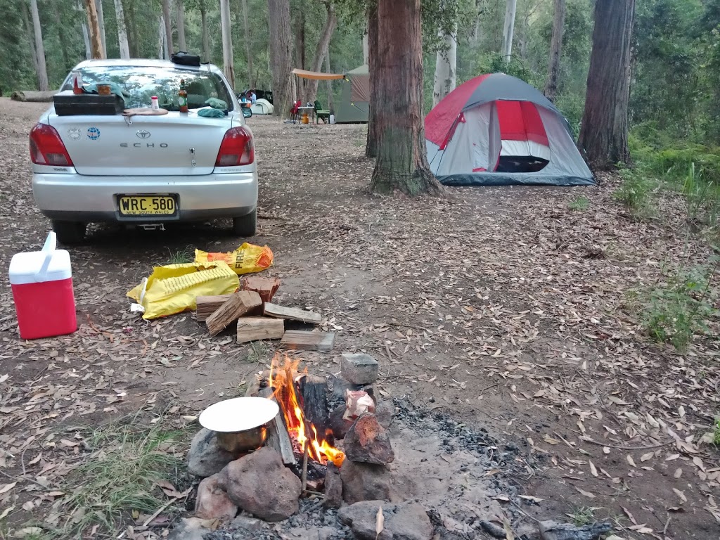 Murphys Glen campground | campground | Turpentine Walking Track, Blue Mountains National Park NSW 2787, Australia | 0247878877 OR +61 2 4787 8877