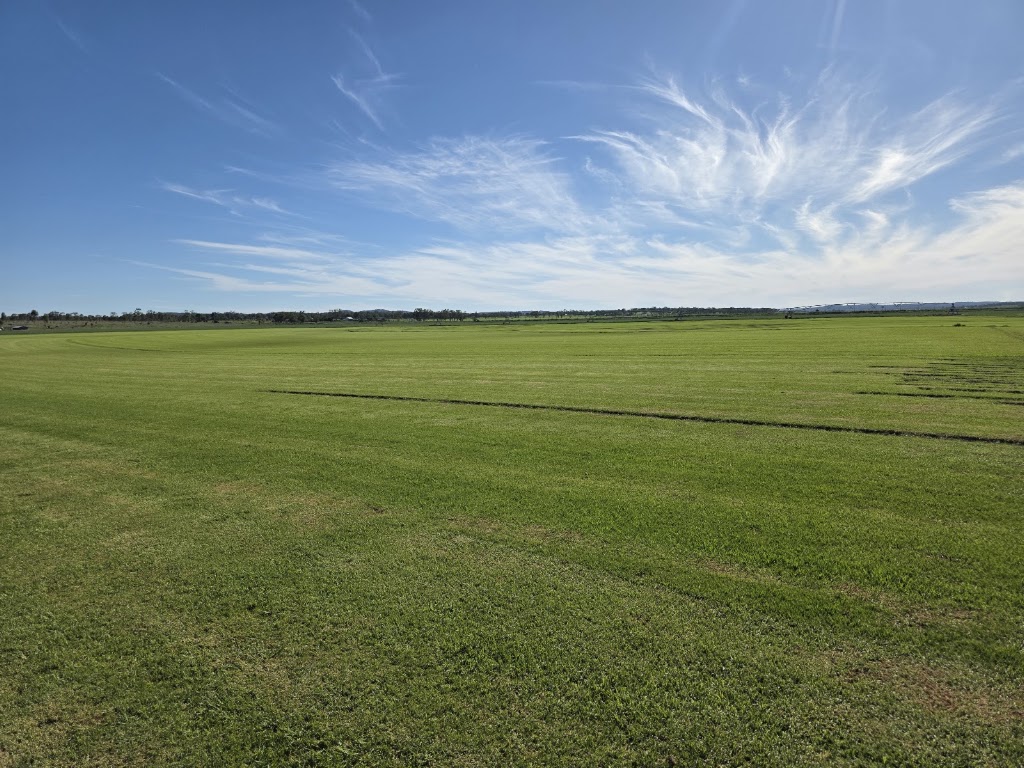 Glengallan Turf | 1122 Willowvale Rd, Massie QLD 4370, Australia | Phone: 0437 015 663