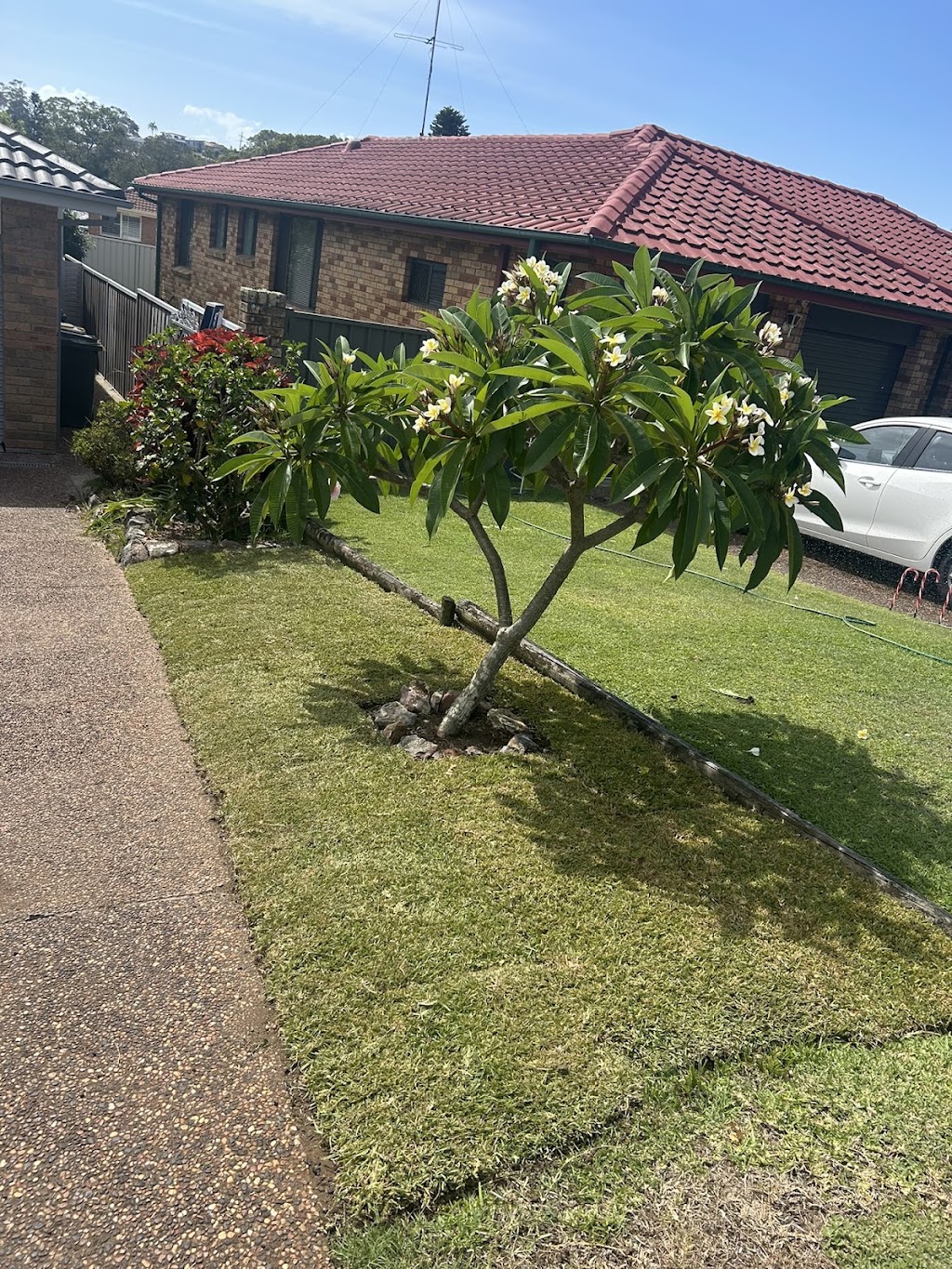 Lachys Outdoor Care | 8 Stanley St, Belmont NSW 2280, Australia | Phone: 0490 397 425