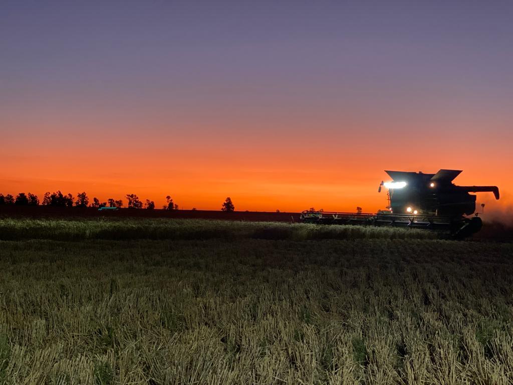 J B Contract Harvesting | 4923 Carrathool Rd, Carrathool NSW 2711, Australia | Phone: 0408 490 177