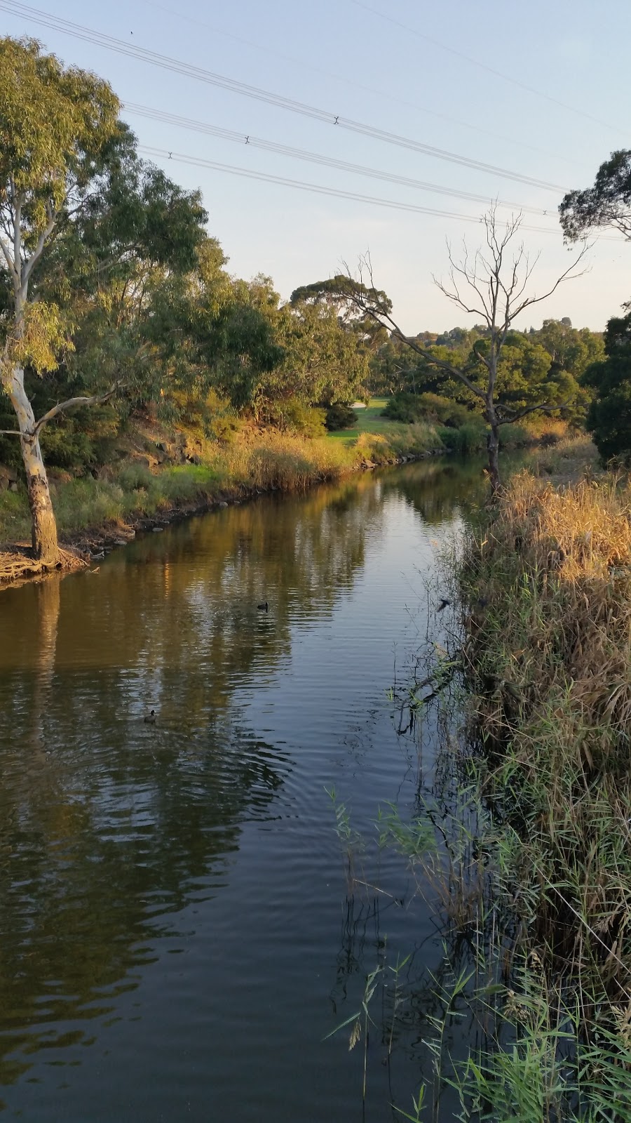 Jacana Valley Parklands | Sunset Blvd, Jacana VIC 3047, Australia | Phone: (03) 9205 2200