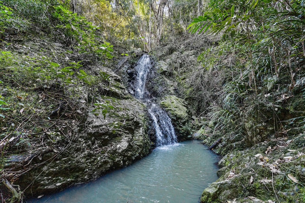 Cascade Springs | 222 Urliup Rd, Urliup NSW 2484, Australia | Phone: (07) 5590 8363