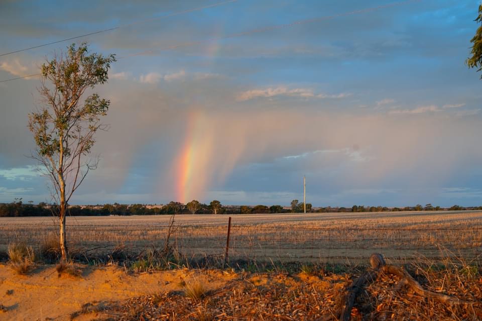 Kasan FarmStay | 947 Yorkrakine Rock Rd, North Tammin WA 6409, Australia | Phone: 0426 830 386