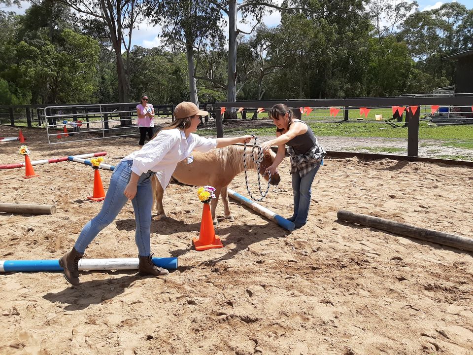 Equine Assisted Therapy | 3 Woodhaven Way, Cooroibah QLD 4565, Australia | Phone: 0427 072 186