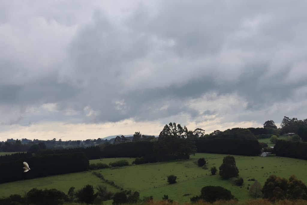 Tarago Cheese | 2236 Main Neerim Rd, Neerim South VIC 3831, Australia | Phone: (03) 9708 9488
