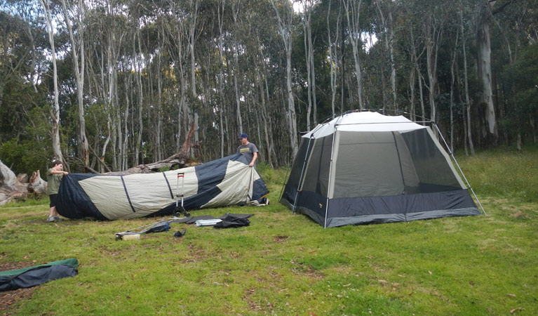 Federal Falls campground | campground | Federal Falls Walking Track, Canobolas NSW 2800, Australia | 0263327640 OR +61 2 6332 7640