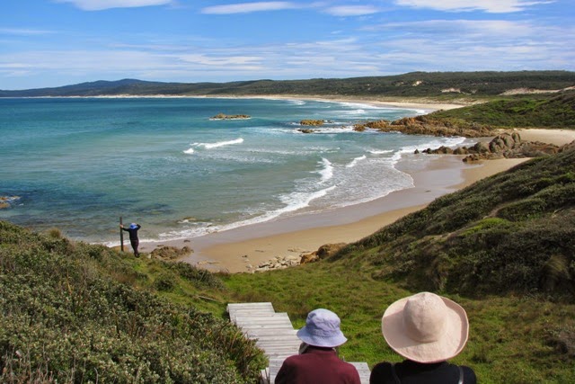 Gippsland High Country Tours | travel agency | 1 Kirley Dr, Bruthen VIC 3885, Australia | 0351575556 OR +61 3 5157 5556