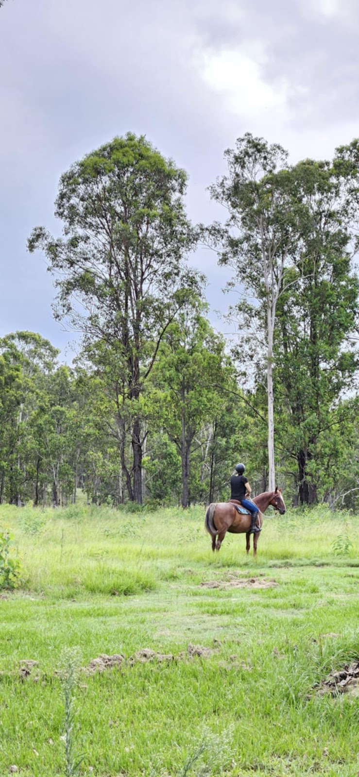 Valenor Equestrian | 231 Ramornie Station Rd, Ramornie NSW 2460, Australia | Phone: 0478 181 789