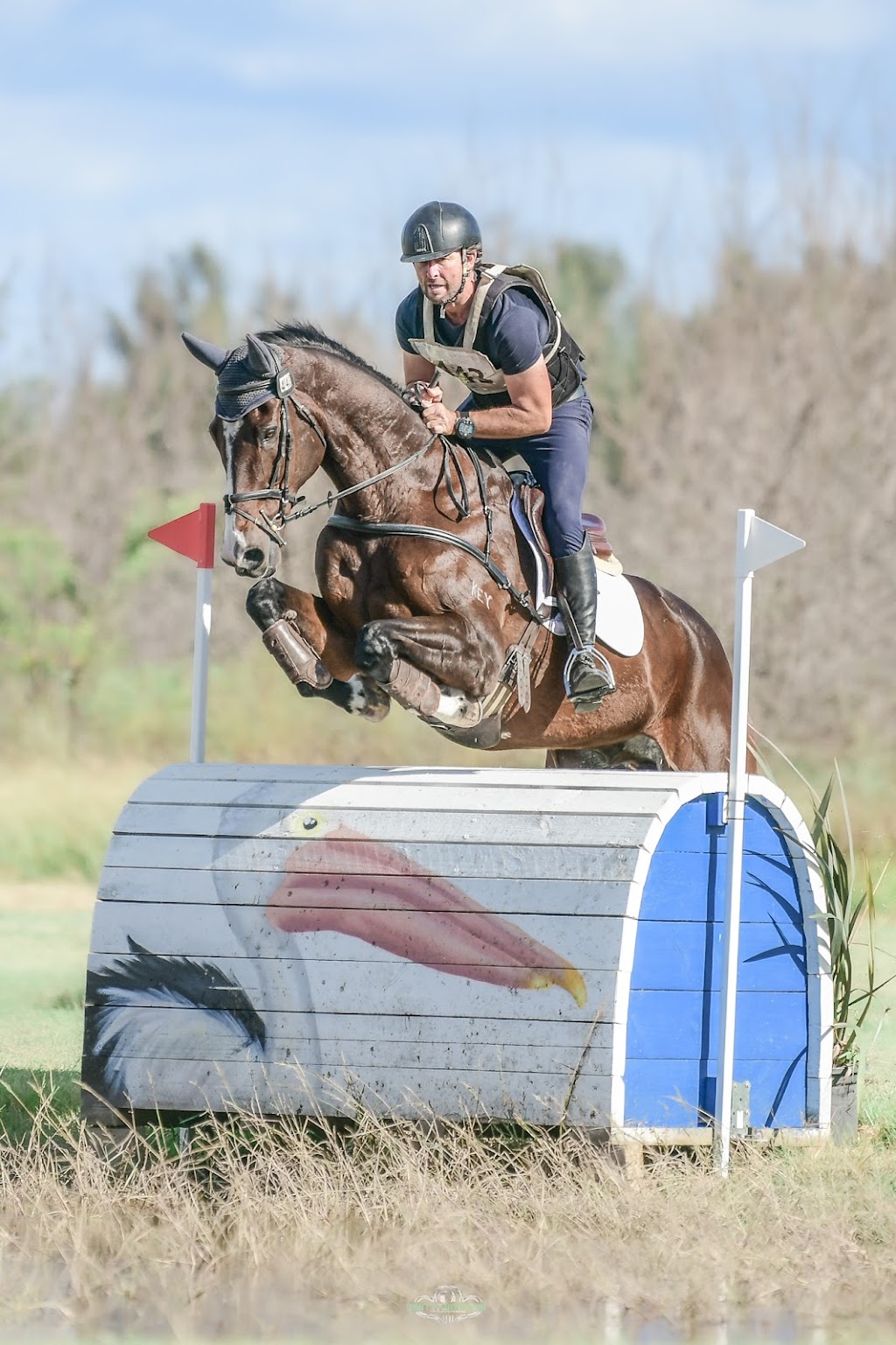 Somersby Eventing | 521 Wisemans Ferry Rd, Somersby NSW 2250, Australia | Phone: 0410 451 699