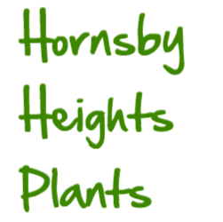 Hornsby Heights Plants | store | 202 Somerville Rd, Hornsby Heights NSW 2077, Australia | 0294762541 OR +61 2 9476 2541