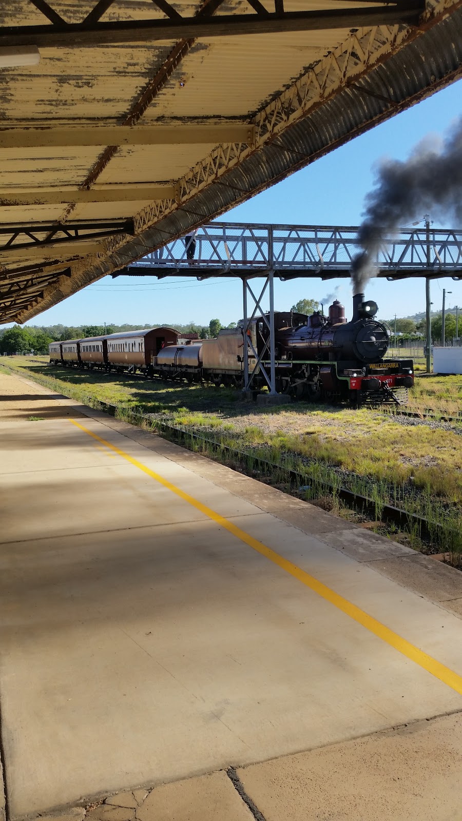 Southern Downs Steam Railway | tourist attraction | Warwick Railway Station, Lyons St, Warwick QLD 4370, Australia | 0746619788 OR +61 7 4661 9788