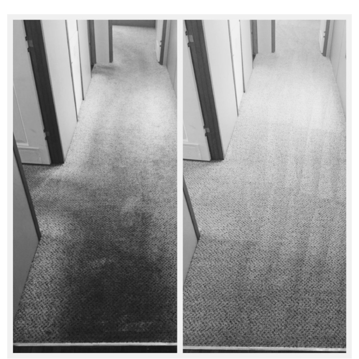 Grippos Carpet Cleaning | laundry | 3/27 Pineapple Rd, Goonellabah NSW 2480, Australia | 0431932901 OR +61 431 932 901