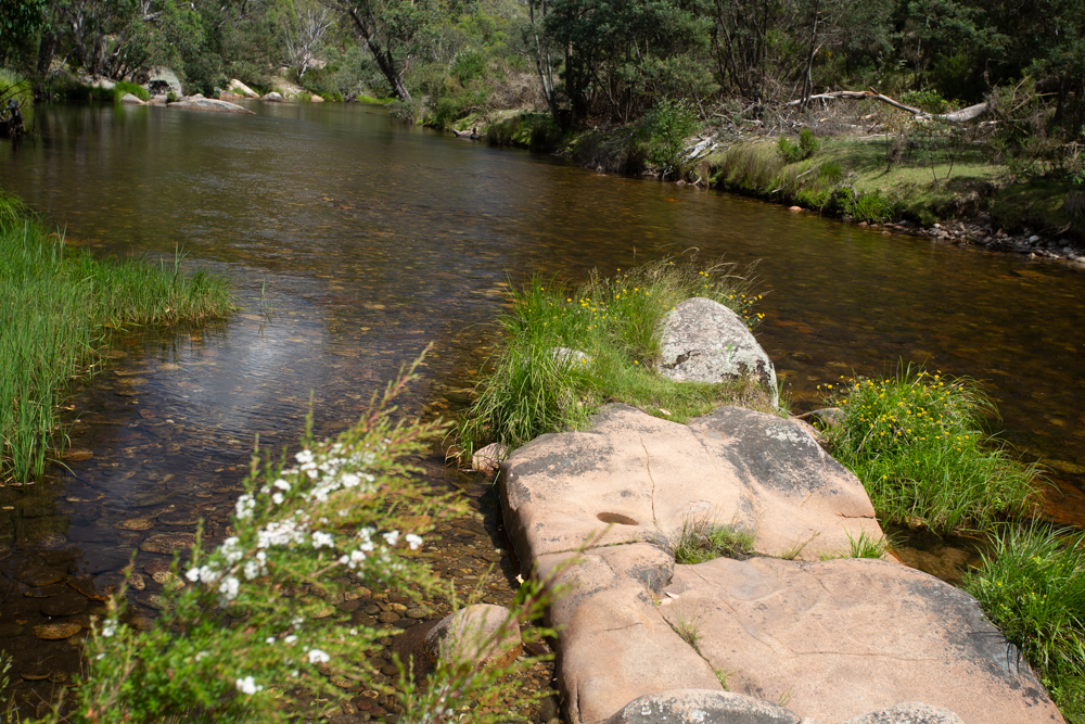 Bundarra River Picnic Area | park | Bundarra Road, Glen Valley VIC 3898, Australia | 131963 OR +61 131963