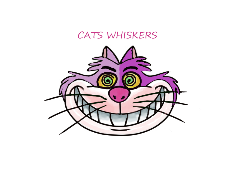 Cats Whiskers Vape Products | 240/25 Lake Orr Dr, Robina QLD 4226, Australia | Phone: 0412 388 607