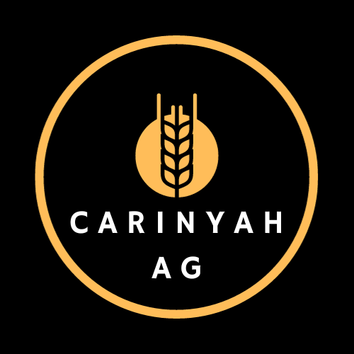 CARINYAH | 203 Hazelmere Rd, Cecil Plains QLD 4407, Australia | Phone: 0428 184 286