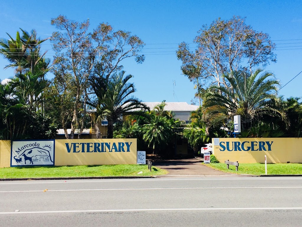 Marcoola Veterinary Surgery | veterinary care | 1111 David Low Way, Marcoola QLD 4564, Australia | 0754487988 OR +61 7 5448 7988