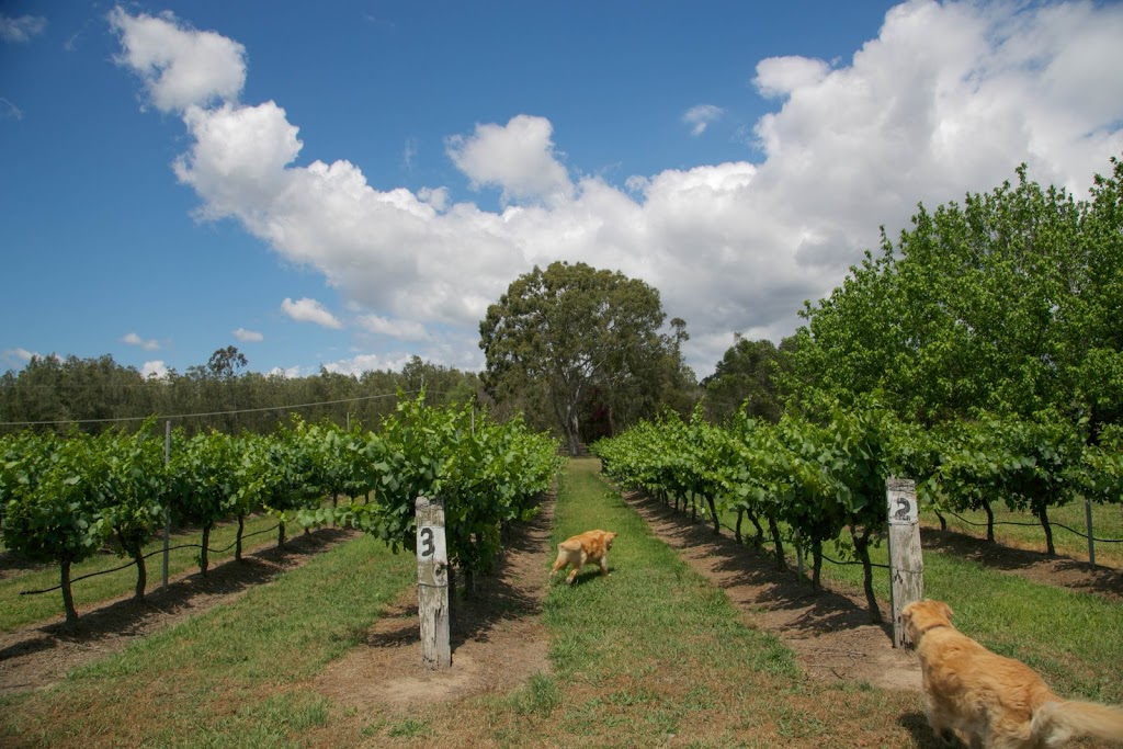 Misty Glen Wines | food | 293 Deasys Rd, Pokolbin NSW 2320, Australia | 0249987781 OR +61 2 4998 7781