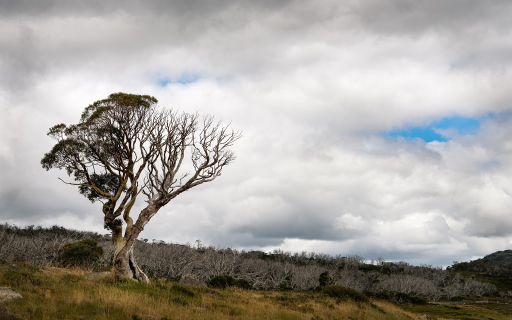 Kosciuszko National Park Entrance Gates | Kosciuszko National Park, 9 Alpine Way, Kosciuszko National Park NSW 2627, Australia