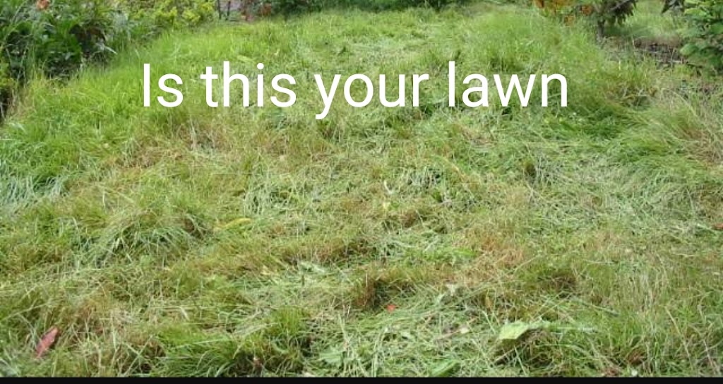 Jehu Lawn Services | 1 Charles St, Abermain NSW 2326, Australia | Phone: 0403 250 591