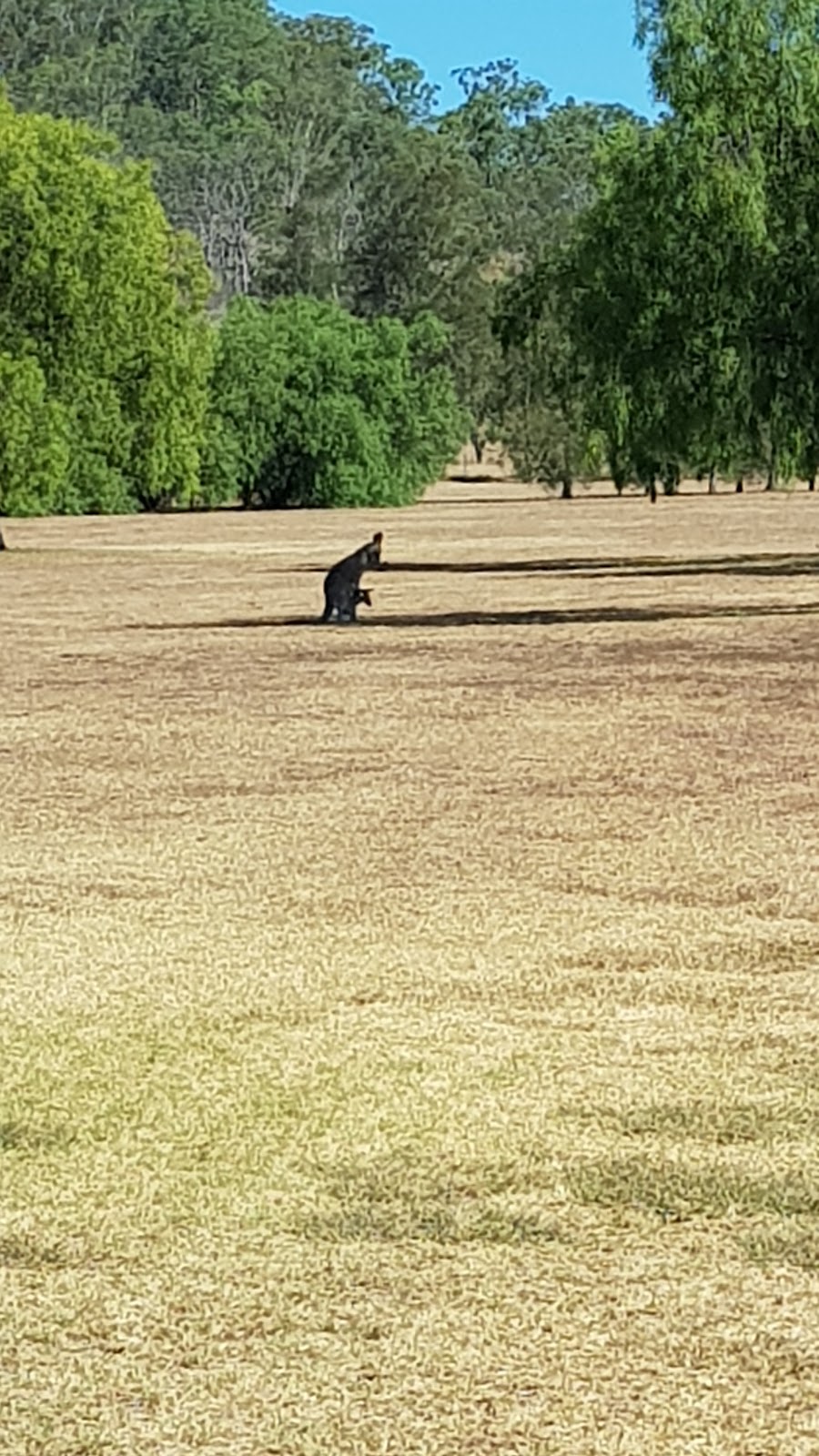 Eustondale Golf Course | 88 Euston Rd, Toowoomba City QLD 4350, Australia | Phone: (07) 4630 2220